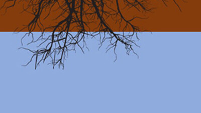 Land Drainage Infographic Roots