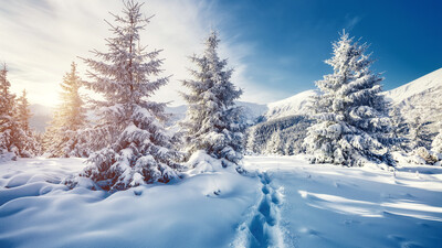 winter scene snow