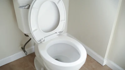 toilet in bathroom