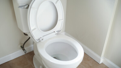 toilet in bathroom