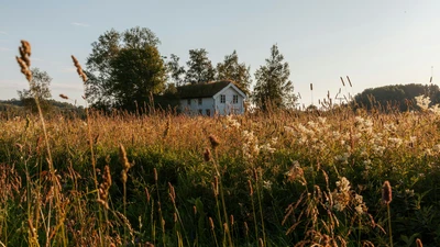 off grid property drainage