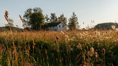 off grid property drainage