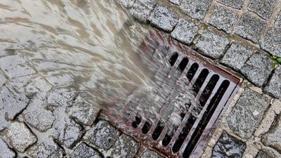 drain gully catching rain water