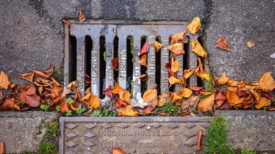 old road gully grating with leaves 
