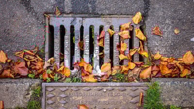 old road gully grating with leaves 